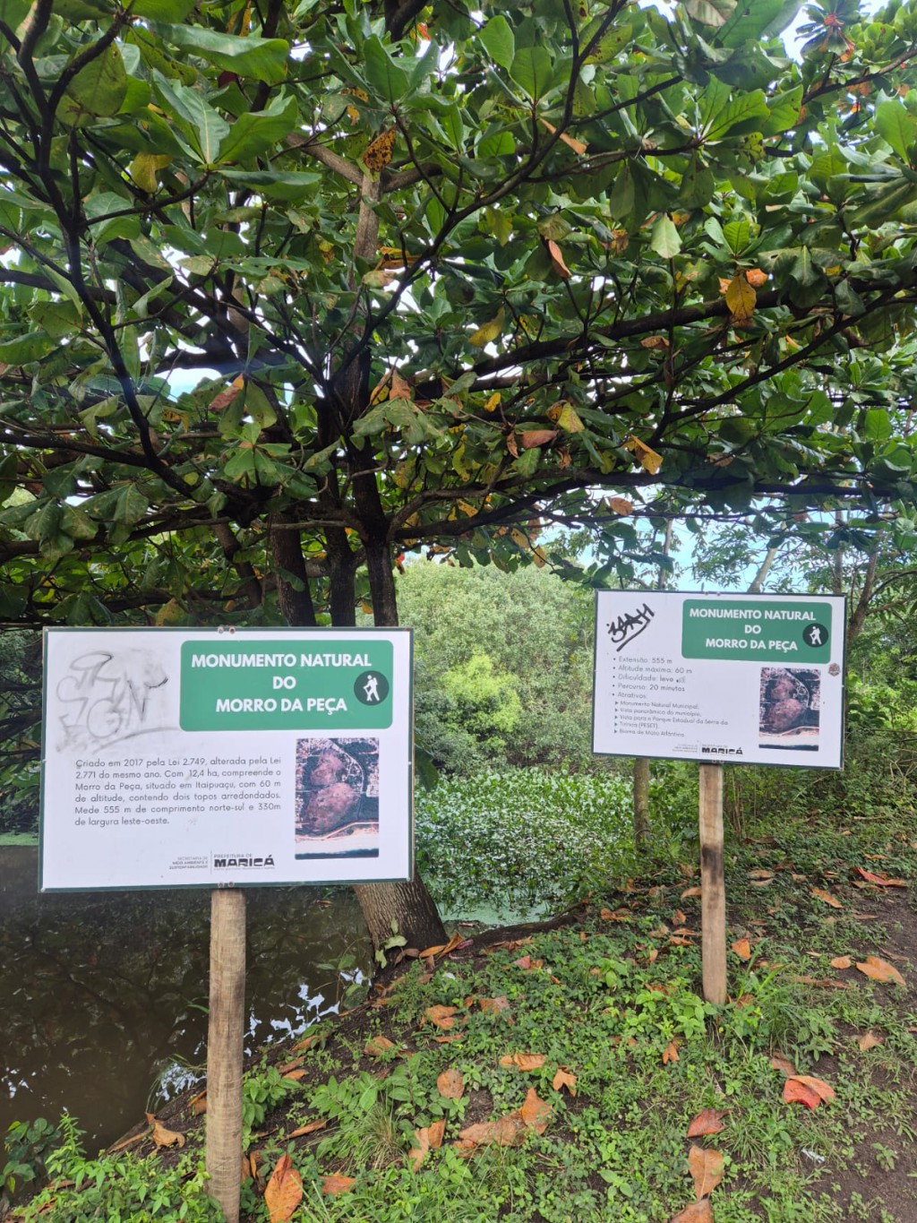 Trilha do Morro da Peça: trilha e natureza em Praia de Itaipuaçu