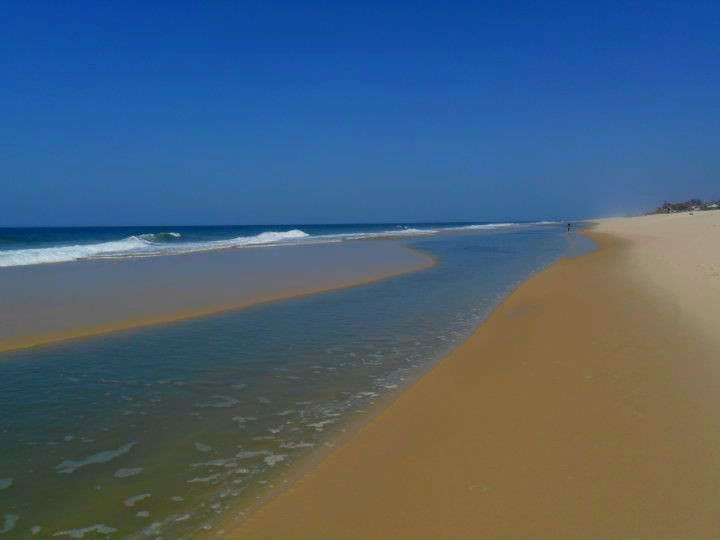Praia de Cordeirinho: o que ver no litoral de Ponta Negra
